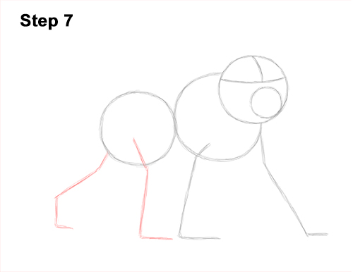 How to Draw an Olive Chacma Baboon Monkey Walking 7