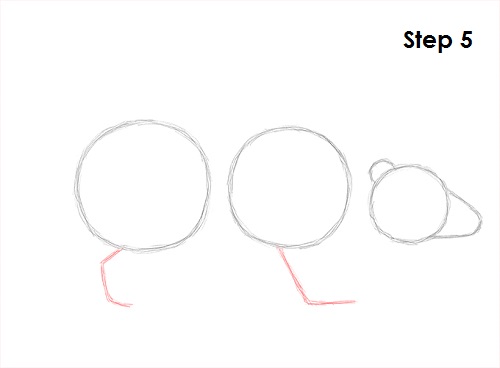 Badger Drawing 5 Draw Badger 5