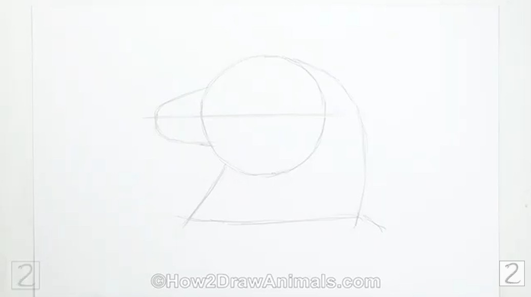 Guidelines Initial Pencil Sketch