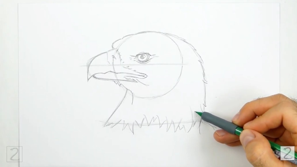 Finish Sketching the Head