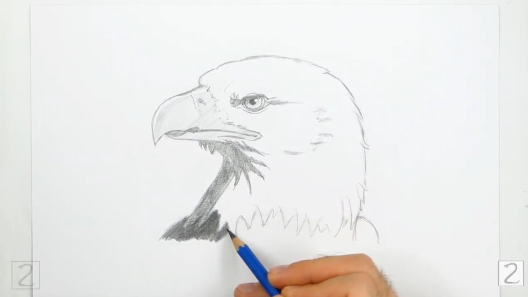Begin Shading