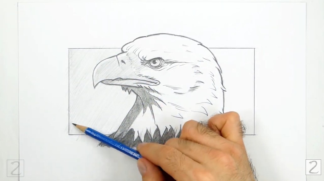 Draw the Legs