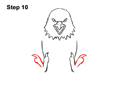 Draw a Bald Eagle 10 How to Draw Angry Cartoon Bald Eagle Flying Wings Talons 10