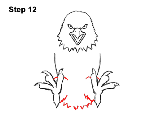 Draw a Bald Eagle 12 How to Draw Angry Cartoon Bald Eagle Flying Wings Talons 12