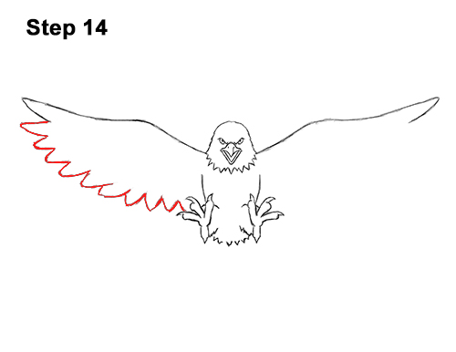 Draw a Bald Eagle 14 How to Draw Angry Cartoon Bald Eagle Flying Wings Talons 14