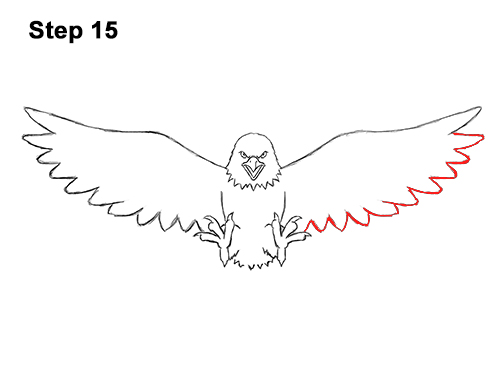 Draw a Bald Eagle 15 How to Draw Angry Cartoon Bald Eagle Flying Wings Talons 15