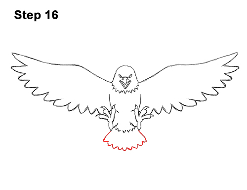 Draw a Bald Eagle 16 How to Draw Angry Cartoon Bald Eagle Flying Wings Talons 16