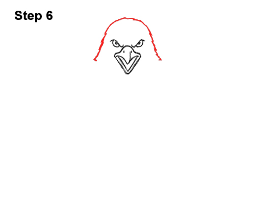 Draw a Bald Eagle 6 How to Draw Angry Cartoon Bald Eagle Flying Wings Talons 6
