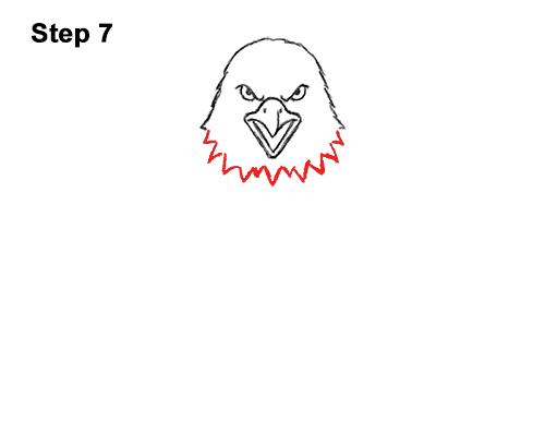 Draw a Bald Eagle 7 How to Draw Angry Cartoon Bald Eagle Flying Wings Talons 7