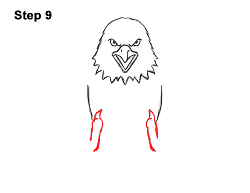 Draw a Bald Eagle 9 How to Draw Angry Cartoon Bald Eagle Flying Wings Talons 9