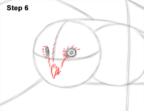 Draw a Barn Owl Flying 6 How to Draw a Barn Owl 6