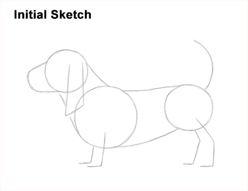 How to Draw a Basset Hound Puppy Dog Side View Guides Lines