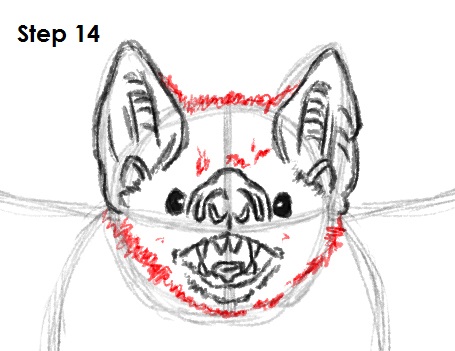 Draw Vampire Bat 14