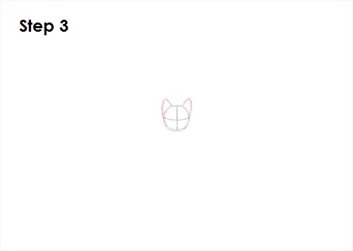 Draw Vampire Bat 3