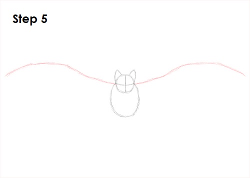 Draw Vampire Bat 5