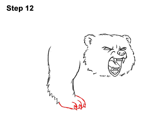Draw Angry Mean Growling Roaring Cartoon Bear 12