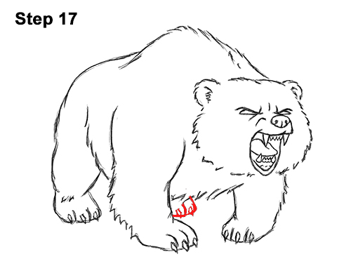 Draw Angry Cartoon Bear 17 Draw Angry Mean Growling Roaring Cartoon Bear 17