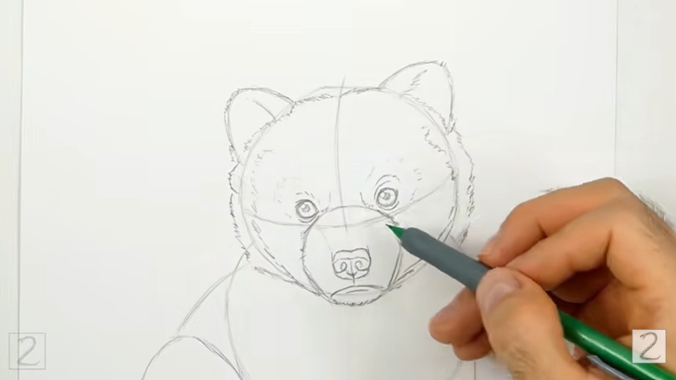 Draw the Facial Features Draw the Facial Features