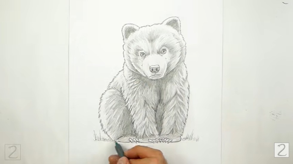 Shade Your Bear Cub Shade Your Bear Cub