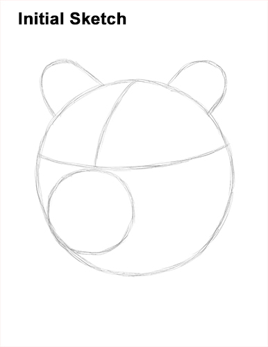 How to Draw a Grizzly Brown Bear Head Portrait Guide Lines