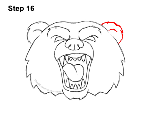 How to Draw a Cartoon Grizzly Bear Head Roaring 16
