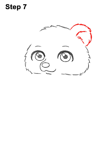 How to Draw a Cute Little Mini Chibi Cartoon Brown Bear Cub 7