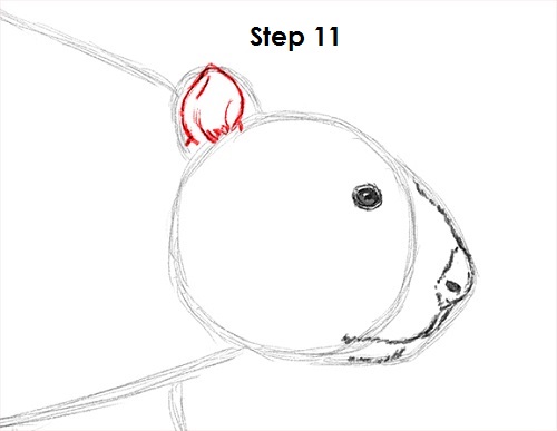 Draw Beaver 11