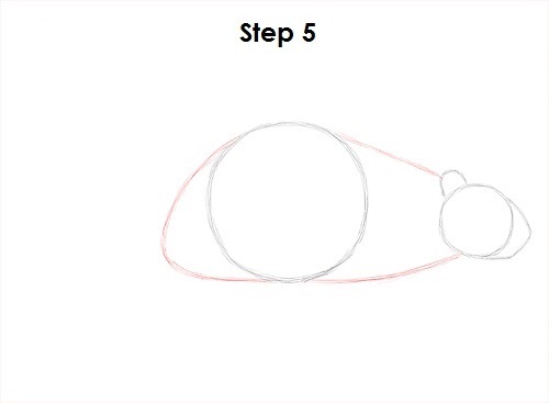 Draw Beaver 5