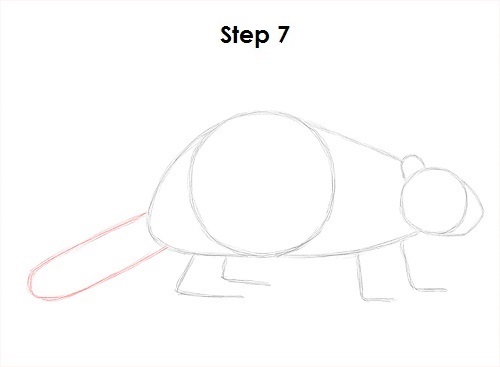 Draw Beaver 7