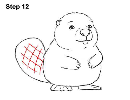 Draw
a Cartoon Beaver 12 How to Draw Cute Cartoon Beaver 12