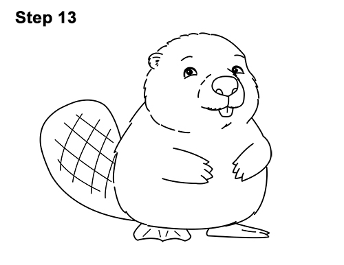 Draw
a Cartoon Beaver 13 How to Draw Cute Cartoon Beaver 13