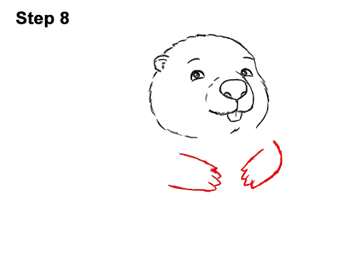 How to Draw Cute Cartoon Beaver 8