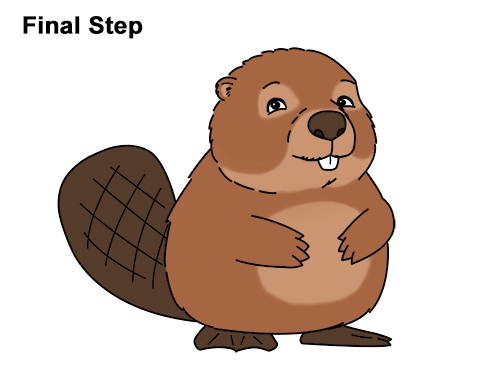 Draw
a Cartoon Beaver How to Draw Cute Cartoon Beaver