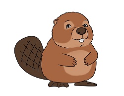 How to Draw a Cute Cartoon Beaver
