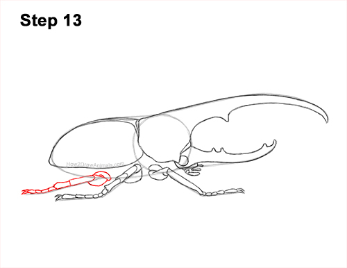 Draw a Rhinoceros Hercules Beetle Insect 13 How to Draw a Hercules Rhino Beetle Bug 13