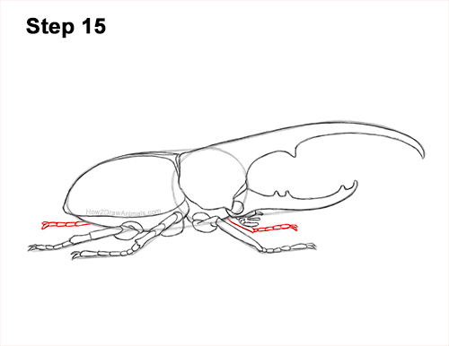 Draw a Rhinoceros Hercules Beetle Insect 15 How to Draw a Hercules Rhino Beetle Bug 15