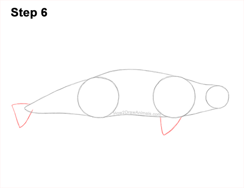 How to Draw a Beluga White Whale 6