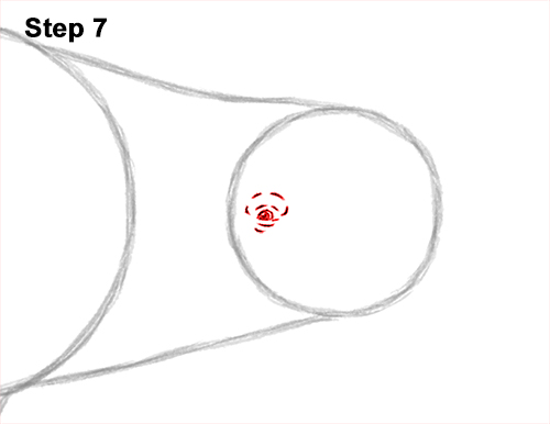 How to Draw a Beluga White Whale 7