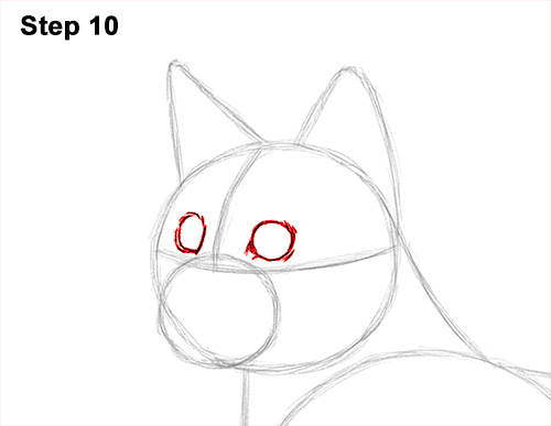 How to draw a Bengal Cat 10 How to Draw Bengal Kitten Cat Spots 10