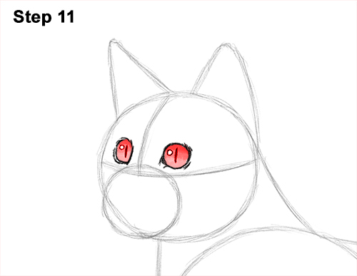 How to draw a Bengal Cat 11 How to Draw Bengal Kitten Cat Spots 11
