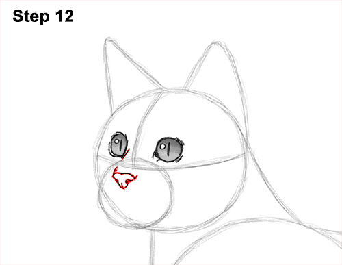 How to draw a Bengal Cat 12 How to Draw Bengal Kitten Cat Spots 12