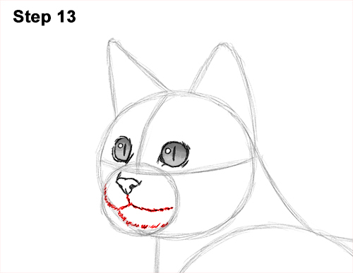 How to draw a Bengal Cat 13 How to Draw Bengal Kitten Cat Spots 13