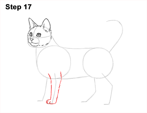 How to Draw Bengal Kitten Cat Spots 17