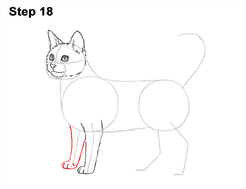 How to Draw Bengal Kitten Cat Spots 18