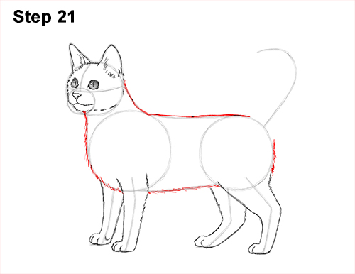 How to Draw Bengal Kitten Cat Spots 21