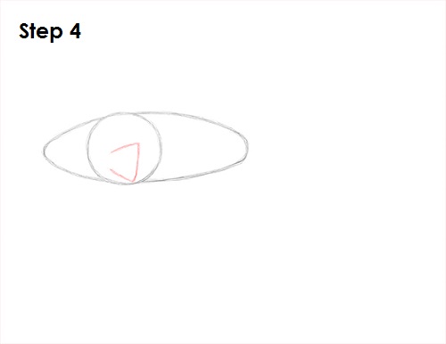 Draw Betta Fish 4