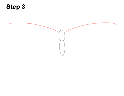 Draw a Western Swallowtail Butterfly 3 How to Draw a Yellow Eastern Tiger Swallowtail Butterfly 3