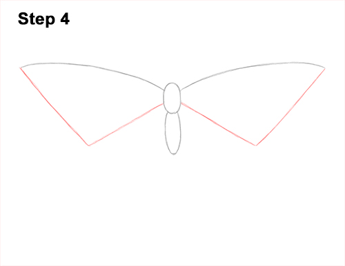 Draw a Western Swallowtail Butterfly 4 How to Draw a Yellow Eastern Tiger Swallowtail Butterfly 4
