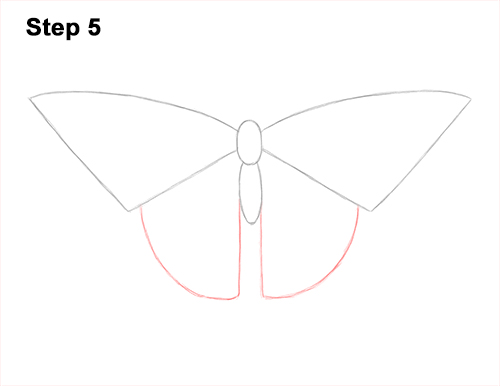Draw a Western Swallowtail Butterfly 5 How to Draw a Yellow Eastern Tiger Swallowtail Butterfly 5