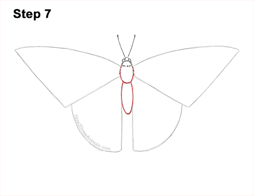 Draw a Western Swallowtail Butterfly 7 How to Draw a Yellow Eastern Tiger Swallowtail Butterfly 7